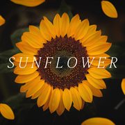 Sunflower cover image cdn