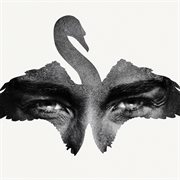 Untitled for 7 dancers cover image cdn