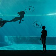 Weeki wachee mermaid cover image cdn