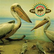 WOODS : Jazz Matinee cover image cdn