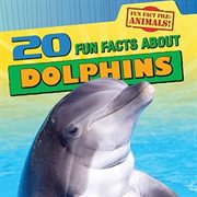 20 fun facts about dolphins cover image cdn