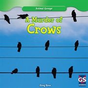 A murder of crows cover image cdn