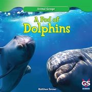A pod of dolphins cover image cdn