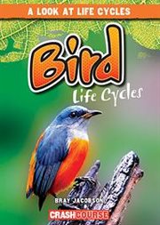 Bird life cycles cover image cdn
