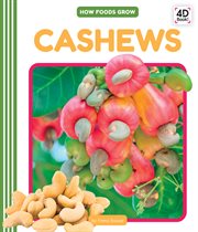 Cashews cover image cdn