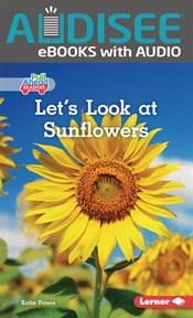 Let's look at sunflowers cover image cdn
