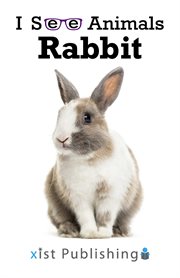 Rabbit cover image cdn