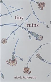Tiny ruins cover image cdn