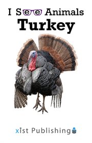 Turkey cover image cdn