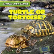 Turtle or tortoise? cover image cdn
