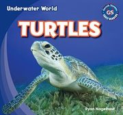 Turtles cover image cdn