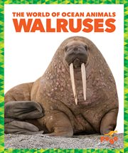 Walruses cover image cdn