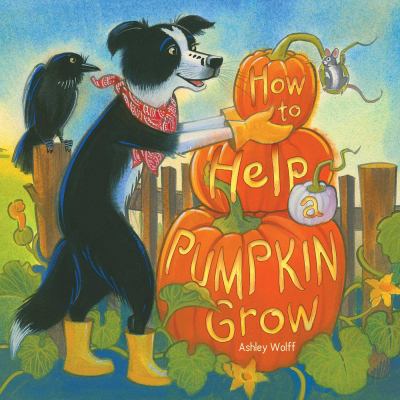 How to help a pumpkin grow cover image