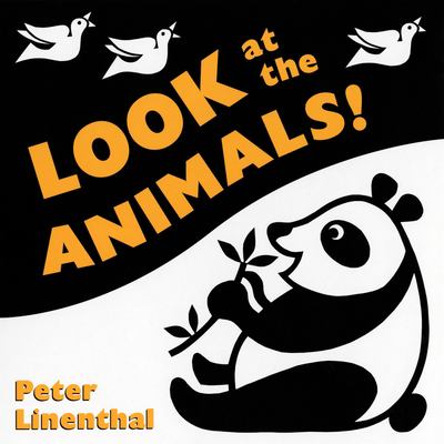 Look at the animals!  cover image cdn