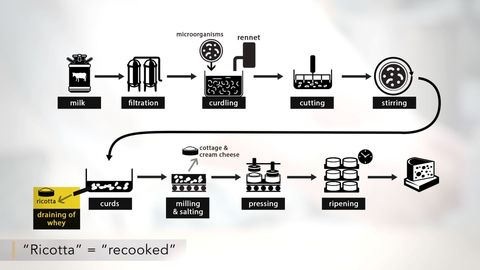 Cooking Basics: What Everyone Should Know. Episode 14, Making Your Own Pasta: Butternut Agnolotti cover image cdn