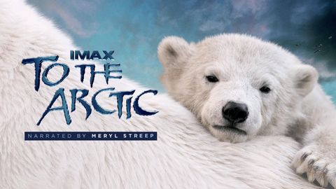 IMAX: To the Arctic cover image cdn