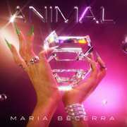 Animal cover image cdn