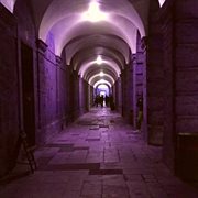 Crush(ed) cover image cdn