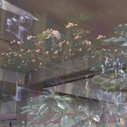 Enhanced interior landscapes cover image cdn