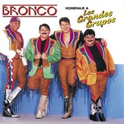 Homenaje a los grandes grupos cover image cdn