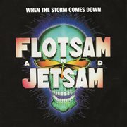 When the storm comes down cover image cdn