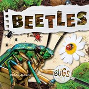 Beetles cover image cdn