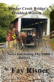 Bender Creek Bridge's troubled waters cover image cdn