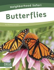 Butterflies cover image cdn