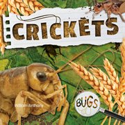 Crickets cover image cdn