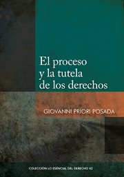 El proceso y la tutela de los derechos cover image cdn