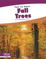 Fall trees cover image cdn