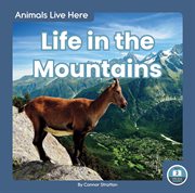 Life in the mountains cover image cdn