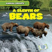 A sleuth of bears cover image cdn