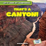 That's a canyon! cover image cdn