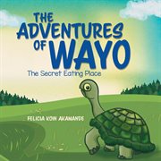The adventures of wayo cover image cdn