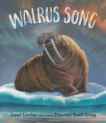 Walrus song  cover image cdn