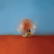 In the meantime cover image