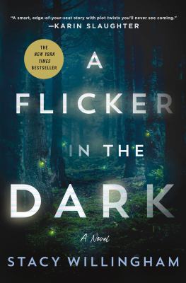 A flicker in the dark  cover image cdn