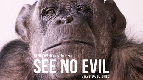 See No Evil cover image cdn