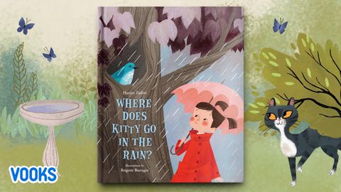 Where Does Kitty Go In the Rain cover image cdn
