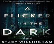 A flicker in the dark cover image cdn