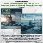 An audio bundle: storm & deep blue cover image cdn