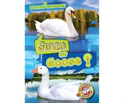 Swan or goose? cover image cdn