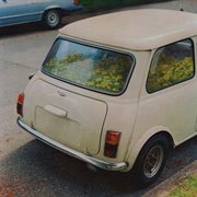 Dandelion cover image cdn