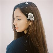 Light cover image cdn