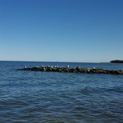 Narrative cover image cdn