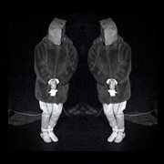 Prisoner cover image cdn