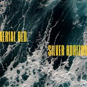 Silver horizon cover image cdn