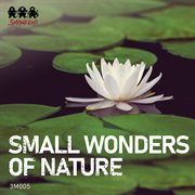 Small wonders of nature cover image cdn
