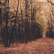 The jazz life cover image cdn